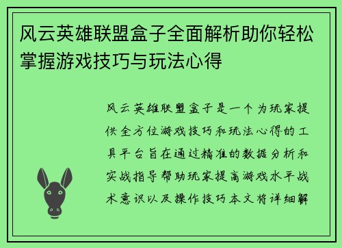 风云英雄联盟盒子全面解析助你轻松掌握游戏技巧与玩法心得