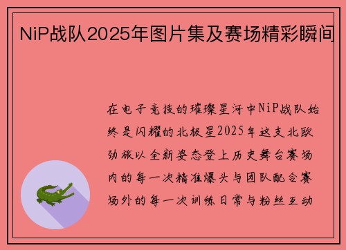NiP战队2025年图片集及赛场精彩瞬间